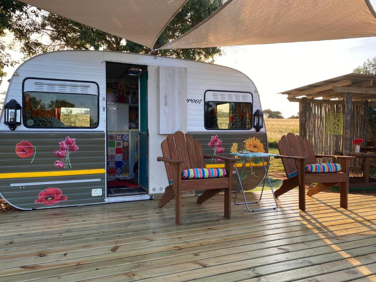 Hluhluwe Bush Camp Glamping Village 外观 照片
